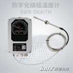 BWR-D6AIYTH 數字化繞組溫度計